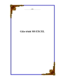 Giáo trình MS EXCEL