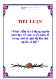 Tiểu luận “Phát triển và sử dụng nguồn nhân lực để phát triển kinh tế trong thời kỳ quá độ lên chủ nghĩa xã hội”