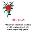 Tiểu luận “Quá trình phát triển nền kinh tế nhiều thành phần ở Việt Nam trong thời kỳ quá độ”