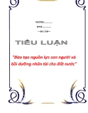 Tiểu luận "Đào tạo nguồn lực con người và bồi dưỡng nhân tài cho đất nước"