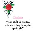 Tiểu luận “Bản chất và vai trò của các công ty xuyên quốc gia”