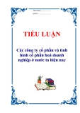 Tiểu luận “Các công ty cổ phần và tình hình cổ phần hoá doanh nghiệp ở nước ta hiện nay”