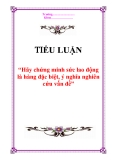 Tiểu luận “Hãy chứng minh sức lao động là hàng đặc biệt, ý nghĩa nghiên cứu vấn đề”