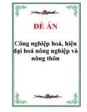 Tiểu luận “Công nghiệp hoá, hiện đại hoá nông nghiệp và nông thôn”