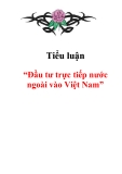 Tiểu luận về “Đầu tư trực tiếp nước ngoài vào Việt Nam”