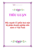 Tiểu luận “Đẩy mạnh Cổ phần hoá một bộ phận doanh nghiệp nhà nước ở Việt Nam”