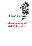 Tiểu luận "Lợi nhuận trong nền kinh tế thị trường"