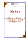 Tiểu luận "Quan hệ phân phối ở nước ta và những giải pháp hoàn thiện quan hệ phân phối"