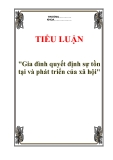 Tiểu luận "Gia đình quyết định sự tồn tại và phát triển của xã hội"