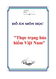 Đề án "Thực trạng bảo hiểm VN"