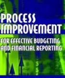 Process Improvement For Effective Budgeting And Financial Reporting (Wiley-2003)