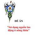 Đề án về 'Sử dụng nguồn lao động ở nông thôn'