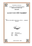 Luận văn "Khảo sát hệ thống ghép kênh"