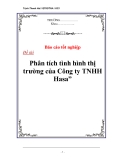 Luận văn tốt nghiệp “Phân tích tình hình thị trường của Công ty TNHH Hasa”