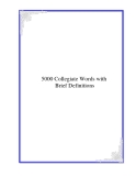 5000 Collegiate Words with Brief Definitions