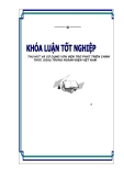 Luận văn tốt nghiệp “Thu hút và sử dụng vốn viện trợ phát triển chính thức (ODA) trong ngành điện Việt Nam”