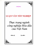 Luận văn tốt nghiệp “Thực trạng ngành công nghiệp Hoá dầu của Việt Nam”