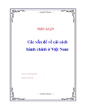 ĐỀ ÁN VỀ: 'Các vấn đề về cải cách hành chính ở Việt Nam'