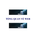 Tổng quan về WEB