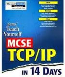 Teach Yourself TCP/IP in 14 Days,