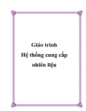 Hệ thống cung cấp nhiên liệu