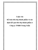 Luận văn - Kế toán tiêu thụ thành phẩm và xác định kết quả tiêu thụ thành phẩm ở Công ty TNHH Trung Tuấn