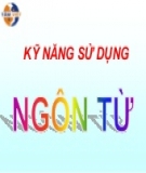 Kỹ năng sử dụng ngôn từ