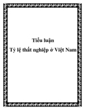 Luận văn " Tỷ lệ thất nghiệp ở Việt Nam"