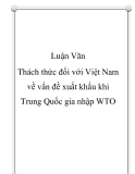 Luận văn - Thách thức đối với Việt Nam về vấn đề xuất khẩu khi Trung Quốc gia nhập WTO