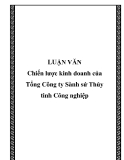 Luận văn - Chiến lược kinh doanh của Tổng Công ty Sành sứ Thủy tinh Công nghiệp