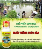 Sử dụng chế phẩm sinh học trong nuôi thủy sản