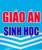 Giáo án Sinh học lớp 6