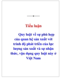 Tiểu luận triết học: Quy luật về sự phù hợp của quan hệ sản xuất với trình độ phát triển của lực lượng sản xuất và sự nhận thức, vận dụng quy luật này ở Việt Nam