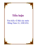 Tiểu luận: Tìm hiểu về Hội các nước Đông Nam Á ( ASEAN)