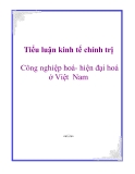 Tiểu luận kinh tế chính trị: Công nghiệp hoá- hiện đại hoá ở Việt  Nam