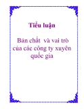 Tiểu luận: Bản chất  và vai trò của các công ty xuyên quốc gia