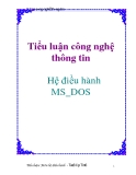 Tiểu luận Công nghệ thông tin: Hệ điều hành MS_DOS