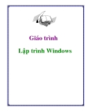 Giáo trình Lập trình Windows - Trần Minh Thái