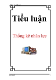 Tiểu luận: Thống kê nhân lực