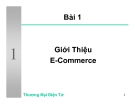 Giới Thiệu phương thức E-Commerce