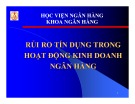 Bài giảng Rủi ro tín dụng trong hoạt động kinh doanh ngân hàng