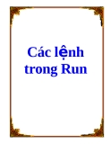 Các lệnh trong Run