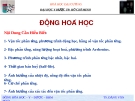 Động hóa học