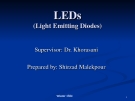 LEDs_ Light Emmitting Diodes
