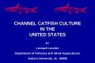 CHANNEL CATFISH CULTURE IN THE UNITED STATES BY