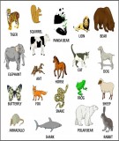 Từ vựng Tiếng Anh qua các con vật