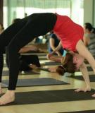 Bài tập yoga giúp cơ thể khỏe mạnh và mềm dẻo