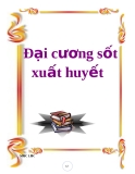 Đại cương sốt xuất huyết