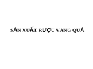 Sản xuất rượu vang quả