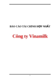 Báo cáo tài chính hợp nhất tại công ty Vinamilk